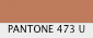 Pantone Color Chip