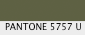 Pantone Color Chip