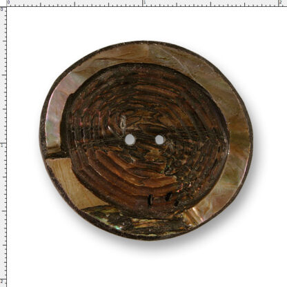 Amber Dark Shell Oval – Carved 65 Line